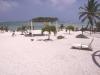  Jollymon Beachfront Apartment property for sale