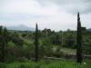 Lake View & Pines (1.2 acre of Land)  property for sale