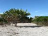 Beach front Lot in Chuburna Yucatan property for sale