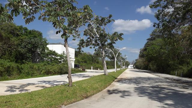Main avenue at El Cielo Residencial