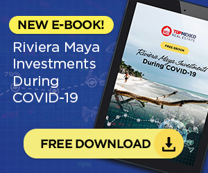 Free Ebook - Investments During Covid-19