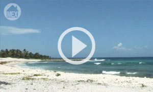 Rugged Beauty, Quiet Beach  Sirenis Beach in the Riviera Maya