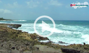 Las Palmas Sirenis Model Unit Video Tour - Akumal Real Estate Area - T