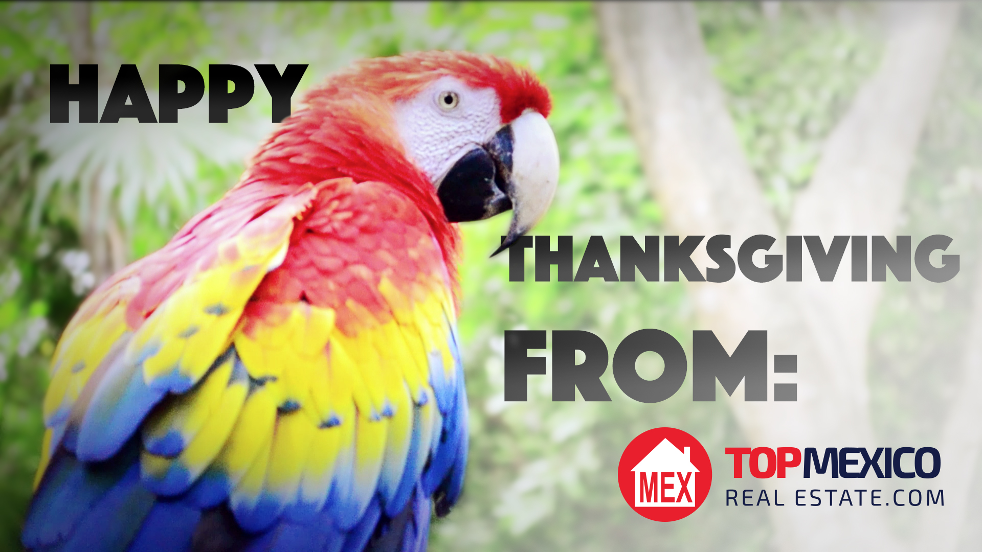 Thanksgiving Message 2014   TOPMexicoRealEstate com