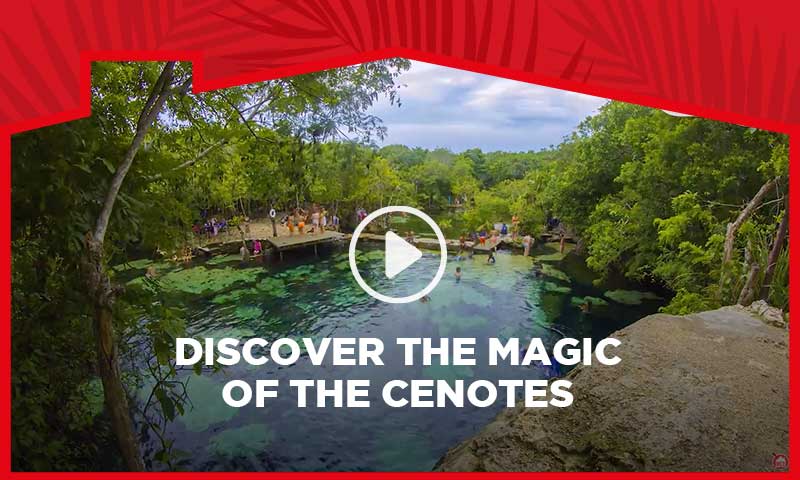 Discover the magic of the cenotes